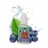 Concentré Blueberry 30ml - Vampire Vape